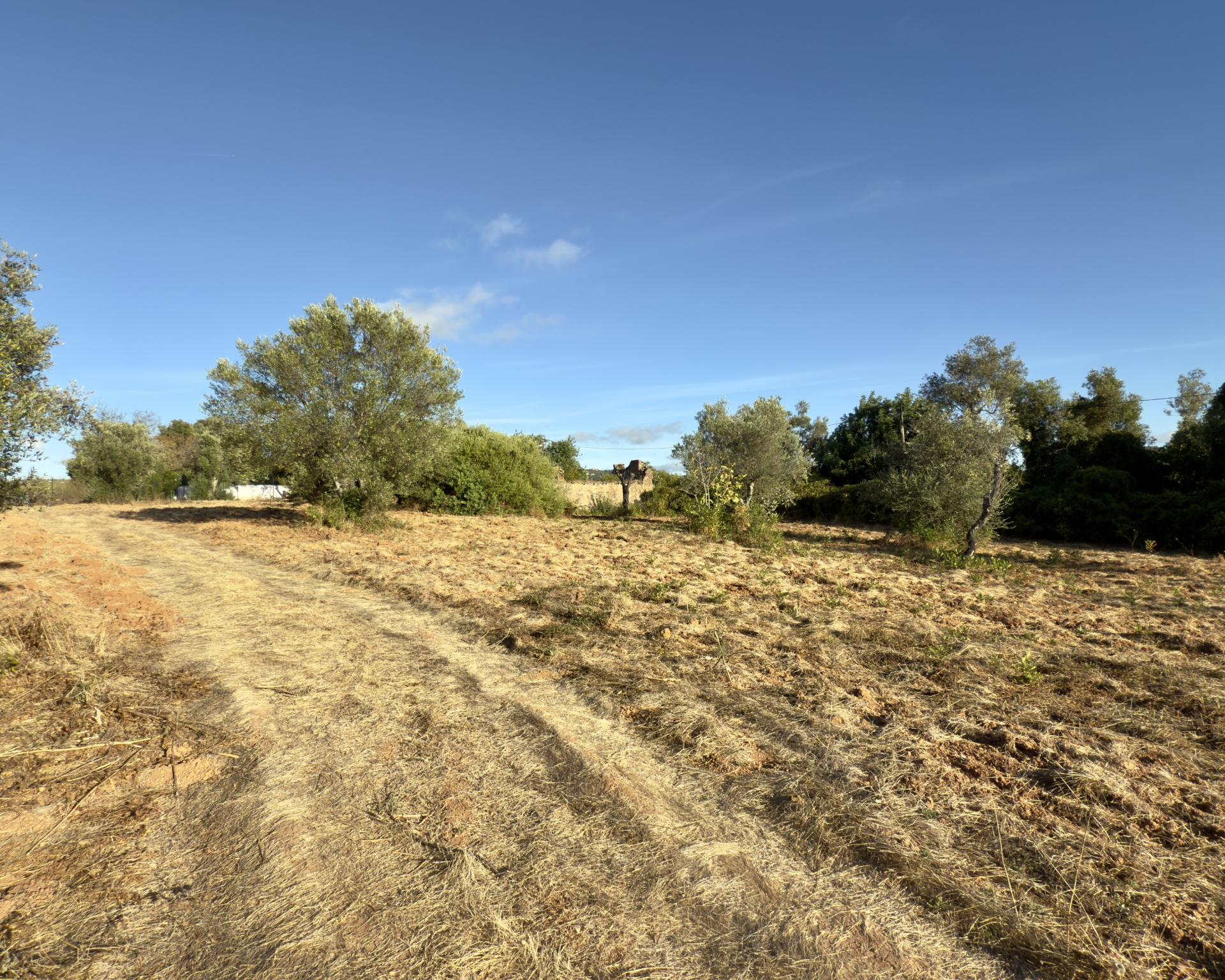 Belo terreno plano de 3.424 m² com projeto aprovado para a reconstrução de uma moradia térrea I 3 quartos I Piscina I Loulé