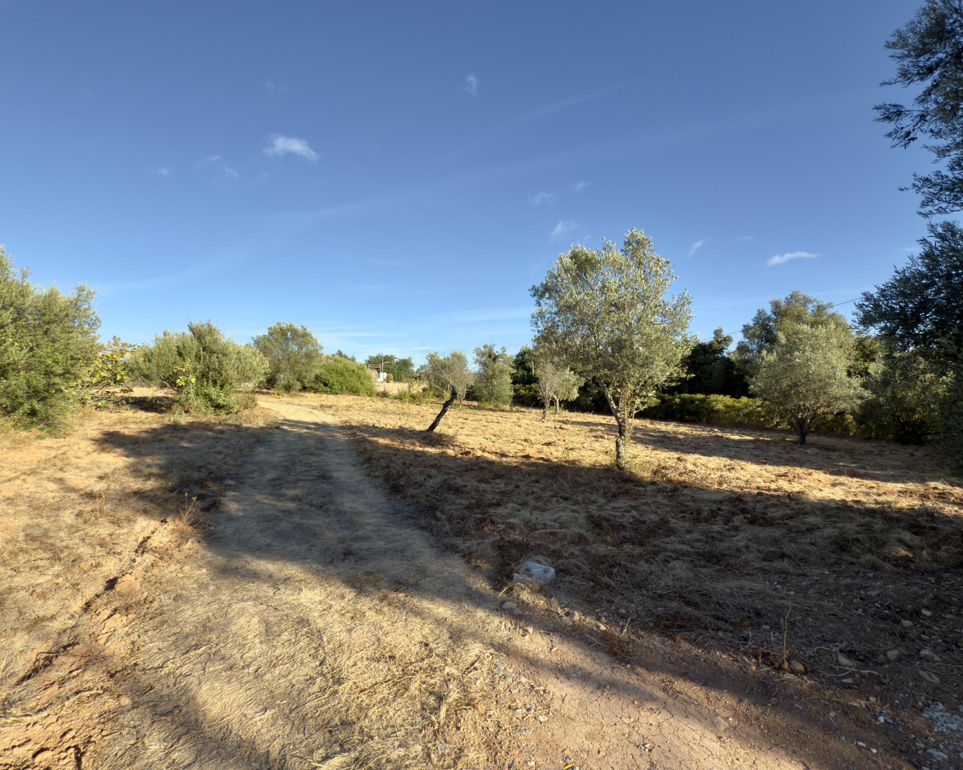 Belo terreno plano de 3.424 m² com projeto aprovado para a reconstrução de uma moradia térrea I 3 quartos I Piscina I Loulé