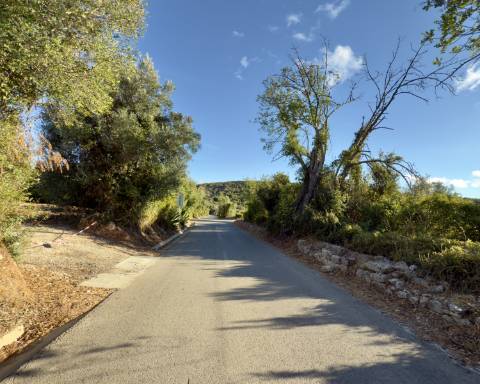 Belo terreno plano de 3.424 m² com projeto aprovado para a reconstrução de uma moradia térrea I 3 quartos I Piscina I Loulé