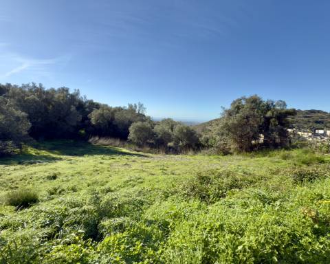 Terreno de 5900 m2 com projeto PIP para construção de uma moradia com 4 quartos I Maravilhosa vista mar I Estoi