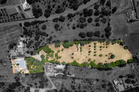 Uma Alma Boémia no Coração do Algarve! Magnífica Quinta Tradicional de Charme | 8 Quartos | Pátio | Jardim | Moncarapacho'