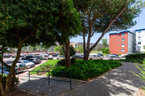 T5 no centro de Oeiras