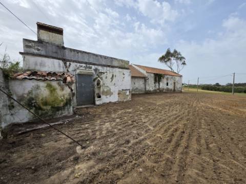 Terreno 1840 m2 com Habitação para recuperar