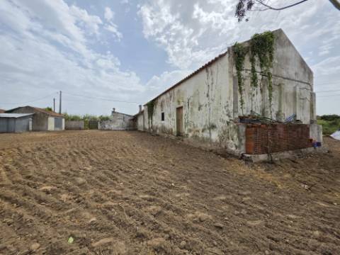 Terreno 1840 m2 com Habitação para recuperar