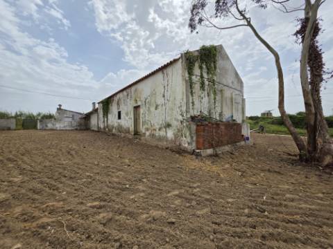 Terreno 1840 m2 com Habitação para recuperar