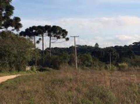 Lote junto ao Kartodromo de Vila Real