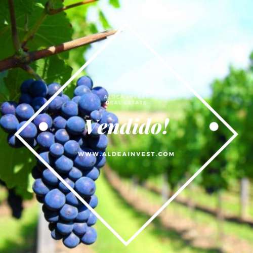 Quinta Douro