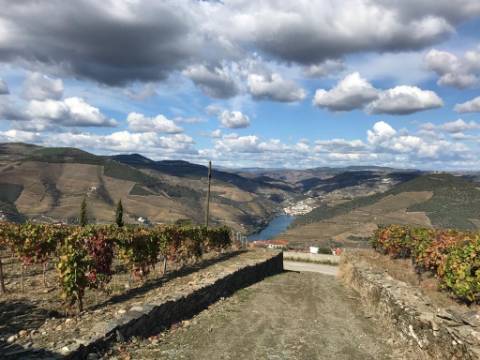 Quinta em Valença do Douro