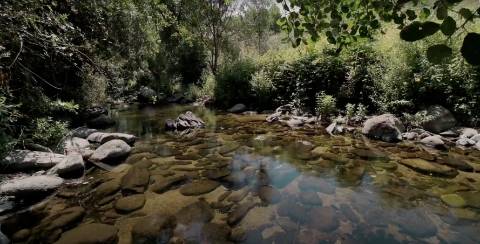 Quintinha Rio Tedo