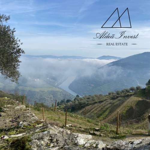 Encantadora Quintinha no Coração do Douro Vinhateiro