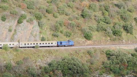 Quinta Exclusiva em Ervedosa do Douro: Margem Privilegiada no Rio Douro, Vinhas de Qualidade e Casa com Potencial de Recuperação