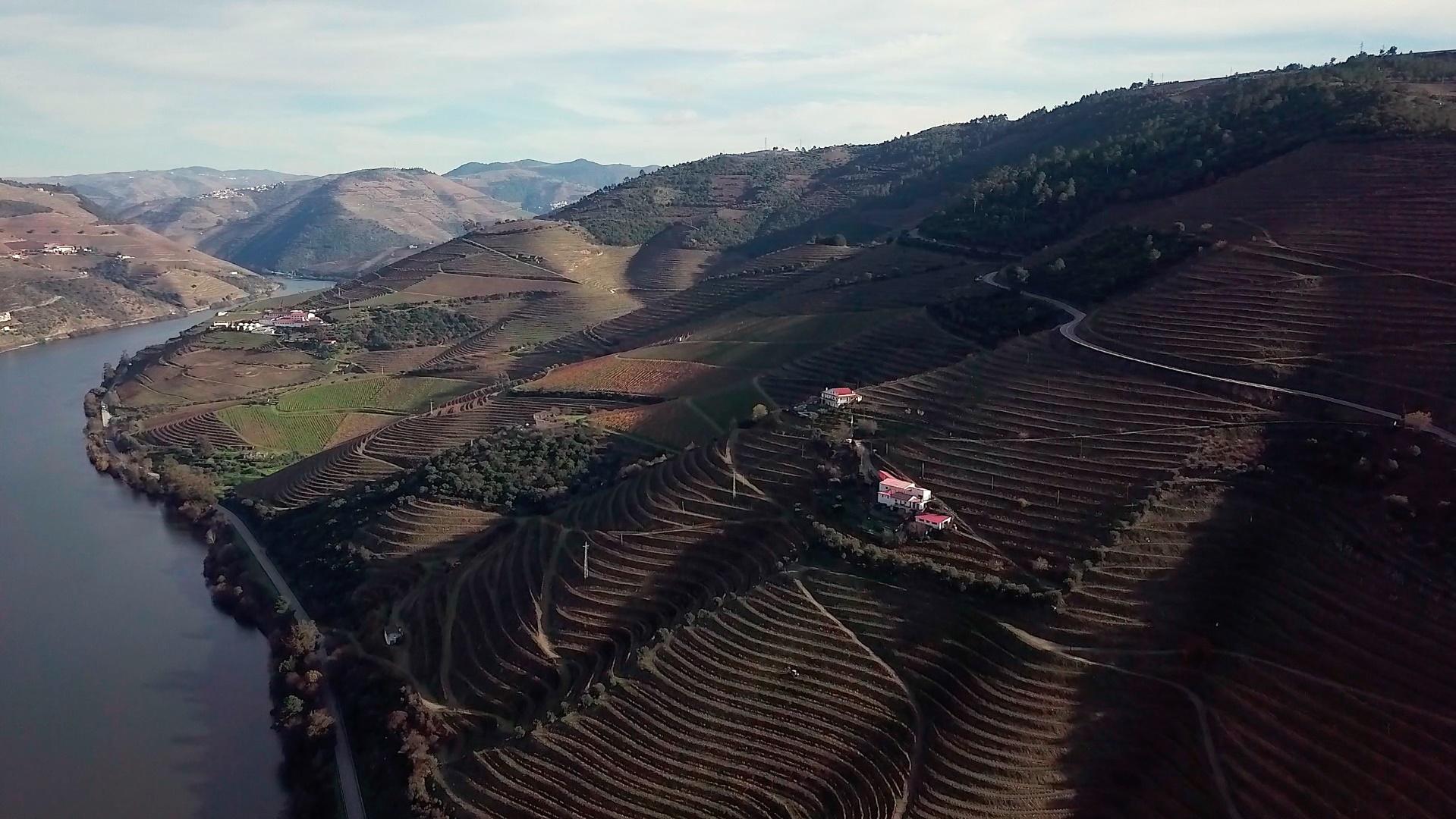 Exclusividade no Douro Vinhateiro: Quinta Magnífica com Vinhas Prestigiosas e Vistas Deslumbrantes