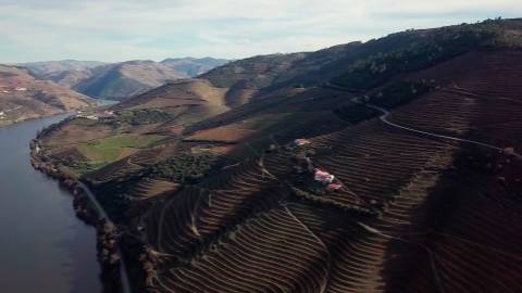 Exclusividade no Douro Vinhateiro: Quinta Magnífica com Vinhas Prestigiosas e Vistas Deslumbrantes