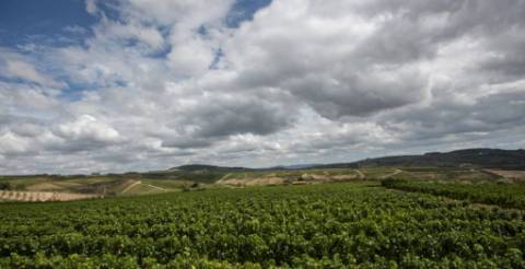 Lote na cidade de Vila Real junto ao Kartodromo