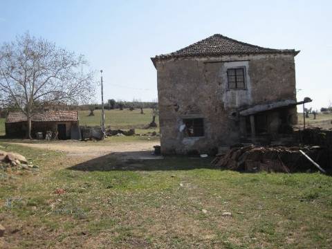 Quinta Cova da Beira