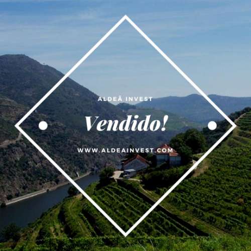 Quinta Douro