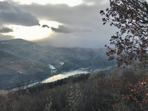 Oportunidade Única: Quinta com 30ha, Casa por Recuperar e Exploração Cinegética com Vista para o Douro Vinhateiro