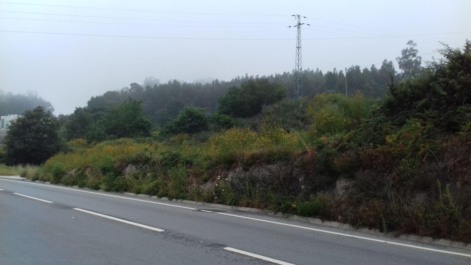 Terreno para construção - Croca, Penafiel