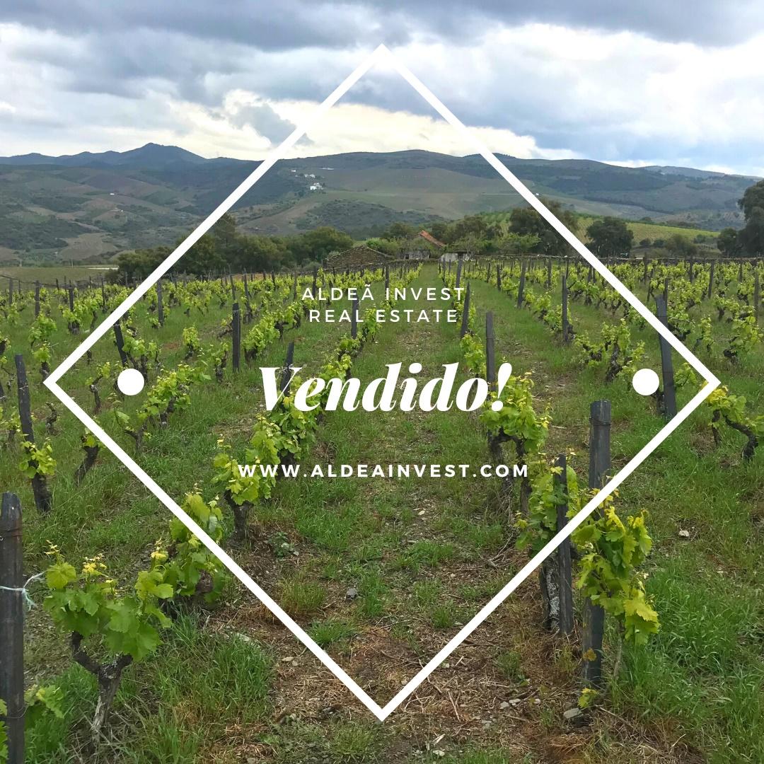 Vinha Velha - Douro