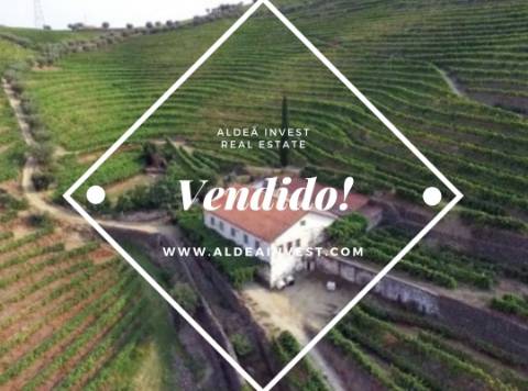 Quinta no Douro com 25ha - Margem de Rio Douro
