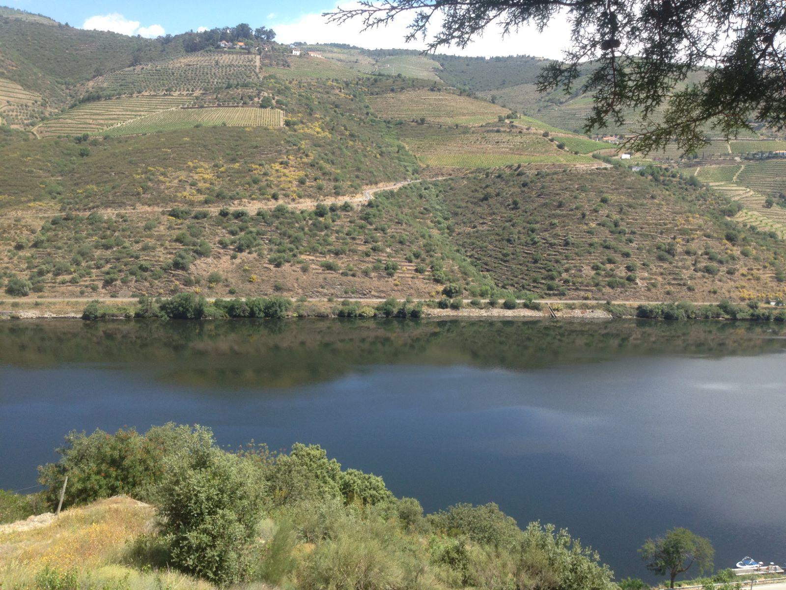 Terreno Douro