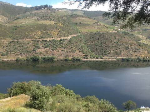 Terreno Douro