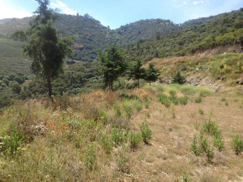 Terreno Douro