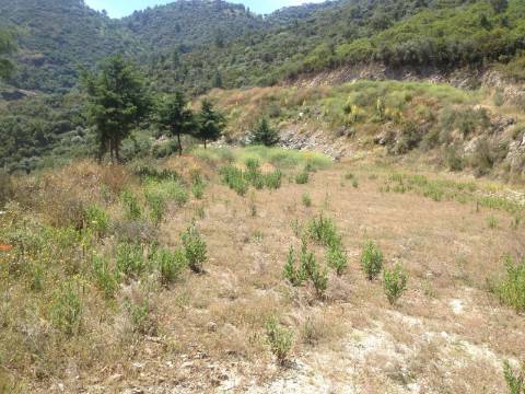 Terreno Douro