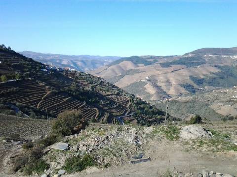 Quinta/Vinha Douro