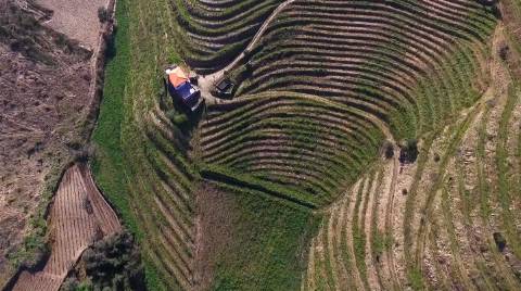 Quinta no Douro