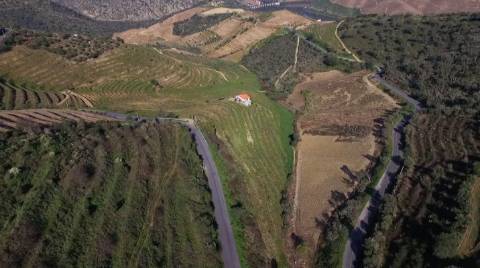 Quinta no Douro