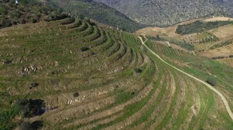 Quinta no Douro