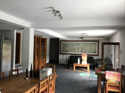 Propriedade Excepcional no Douro Vinhateiro: Vinha de Excelência e Infraestrutura Completa