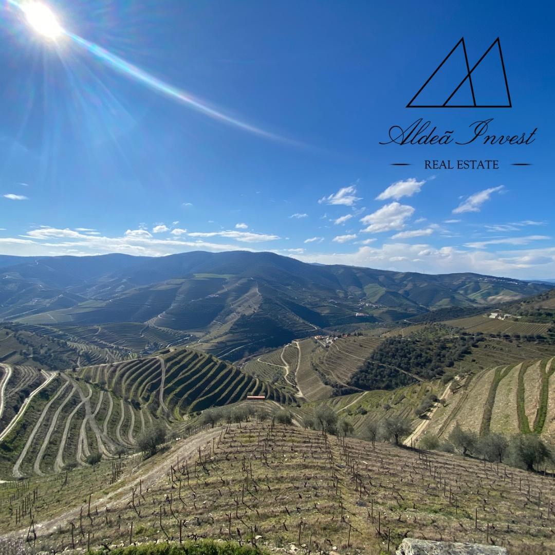Magnífica Quinta no Douro Vinhateiro: Vinhas de Excelência