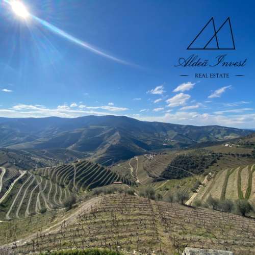 Magnífica Quinta no Douro Vinhateiro: Vinhas de Excelência
