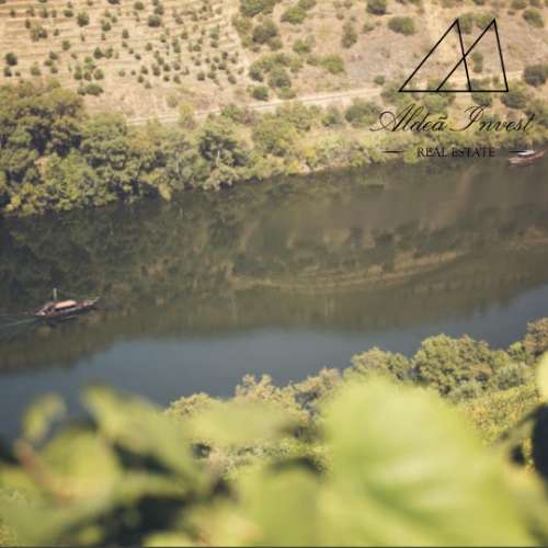 Turismo Douro Vinhateiro