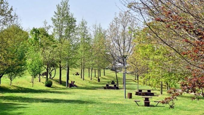 Terreno Parque da Cidade Penafiel