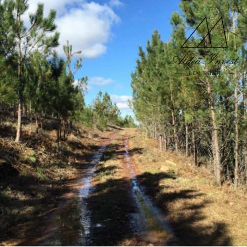 Herdade Portalegre