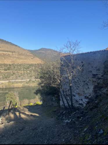 Ruínas com Vista Deslumbrante sobre o Rio Douro: Oportunidade Única para Segunda Habitação ou Alojamento Local