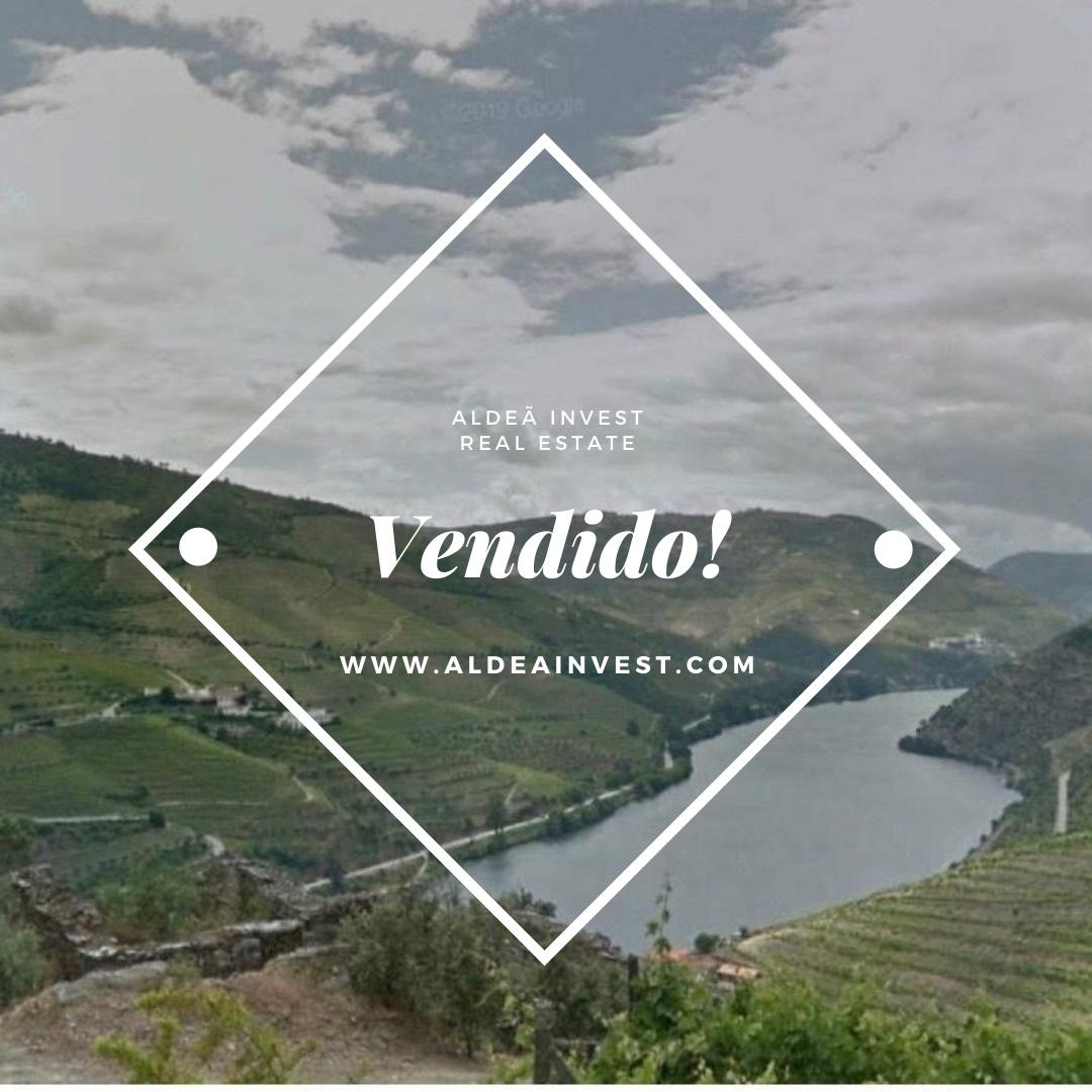 Ruínas - Douro Vinhateiro