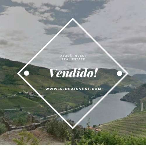 Ruínas - Douro Vinhateiro