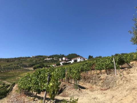 Quinta Sta Marta de Penaguião