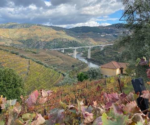 Quinta Douro Vinhateiro