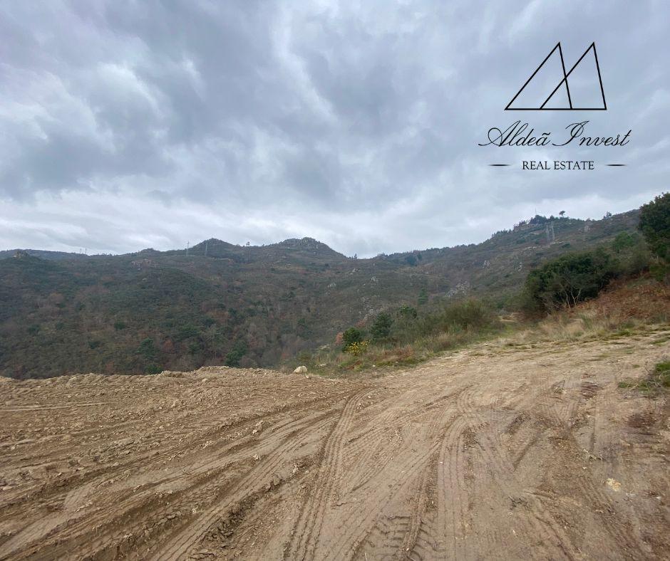 Terreno 25ha