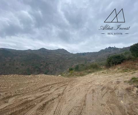 Terreno 25ha