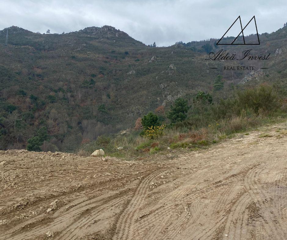 Terreno 25ha