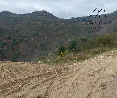 Terreno 25ha