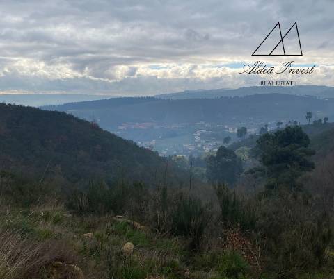 Terreno 25ha