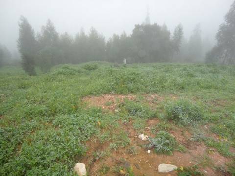 Lote de terreno com 680 m2 destinado a construção.