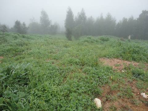 Lote de terreno com 680 m2 destinado a construção.